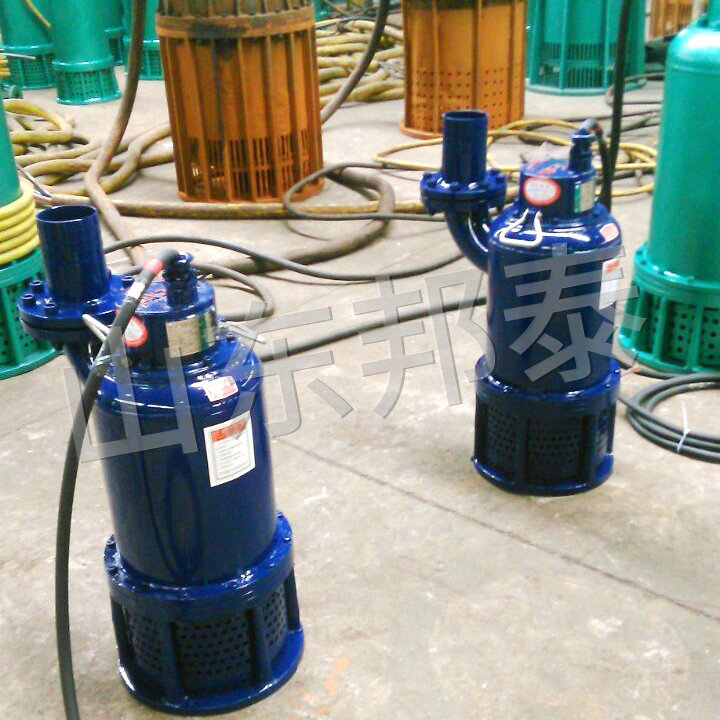 WQB4KW厂用隔爆型耐腐蚀排污电泵