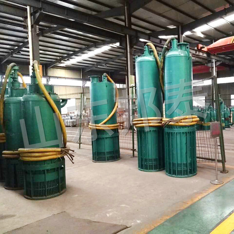WQB200KW工厂大流量防爆排污泵
