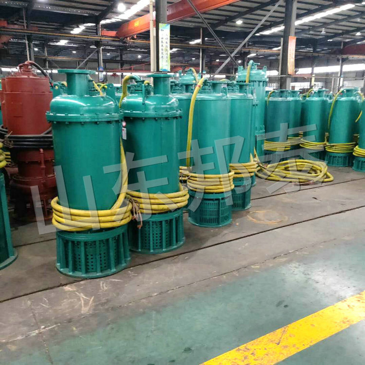 WQB160KW厂用耐腐耐磨防爆排污排沙离心潜水电泵