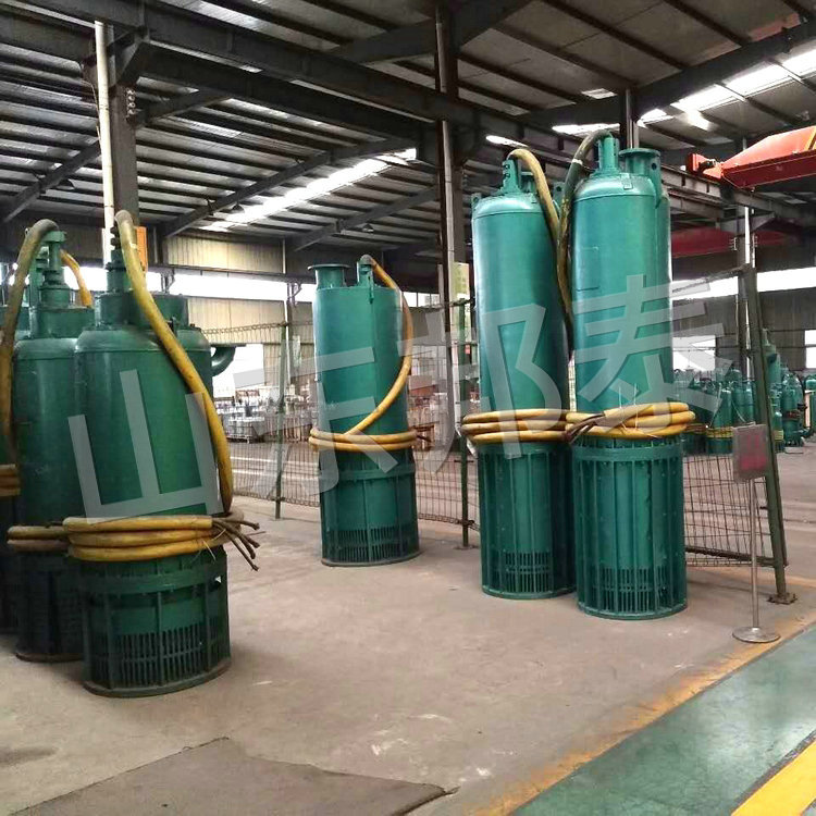 BQS220KW耐磨防爆潜水排污泵