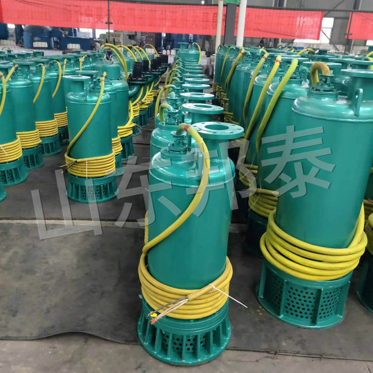 BQS185KW耐腐蚀隔爆潜污电泵